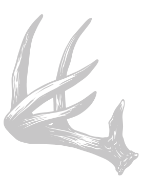 Left Antler